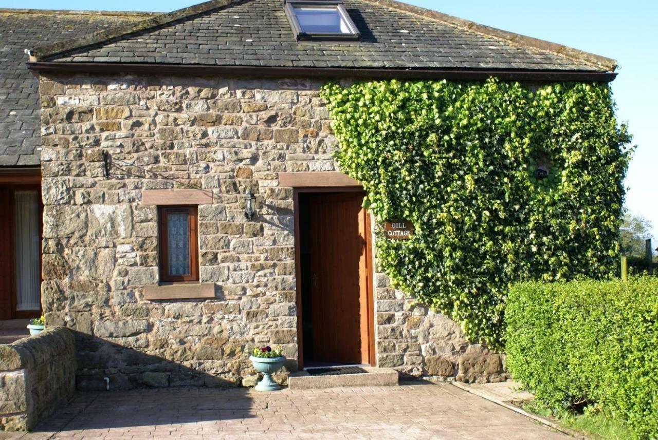 Gill Cottage  Castle Carrock Exteriör bild
